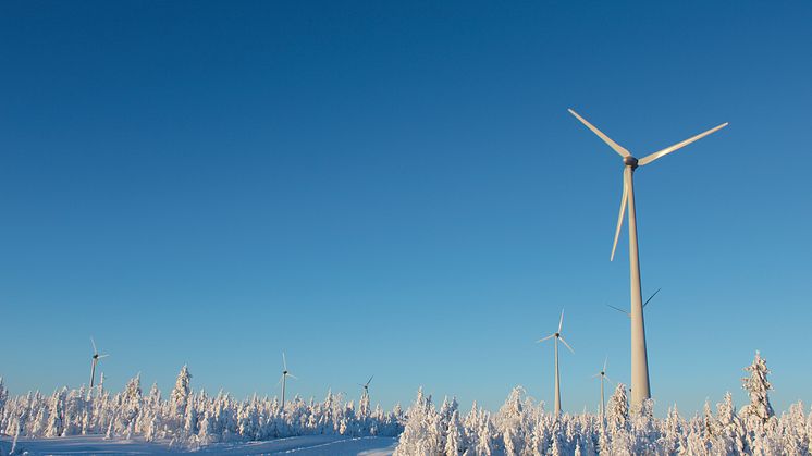 Ny arbetsgrupp ska locka elintensiv industri till Markbygden.