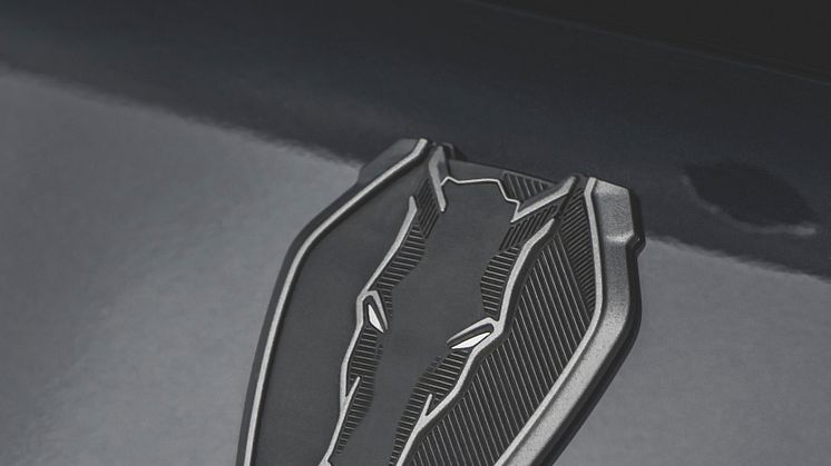 2024_FORD_MUSTANG_DARK_HORSE_ 17