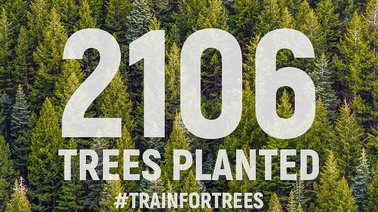 Motosumo users plant 2,106 trees for #TeamTrees 