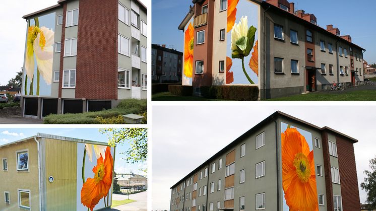 collage-placeringar-ny.jpg