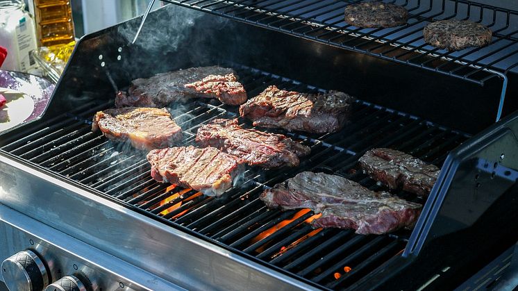 Weber Traveler MyNewsdesk