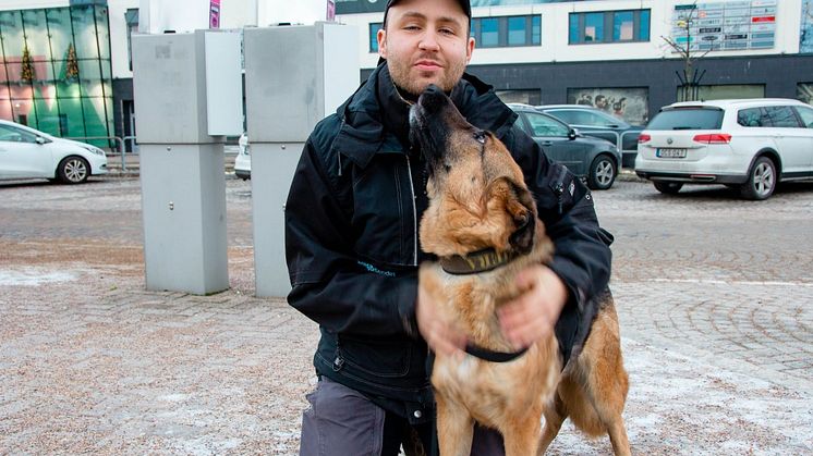 Schäfern Hera är Eriks trygghet