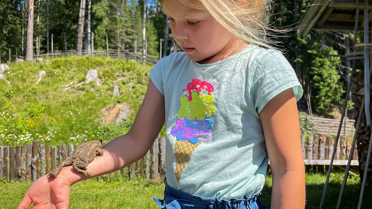 Liten pike på Skålbergsætra