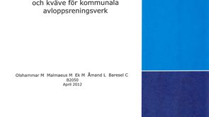 C SVU-rapport C IVL B2050: Fallstudie – Avgiftssystem fosfor och kväve för kommunala avloppsreningsverk