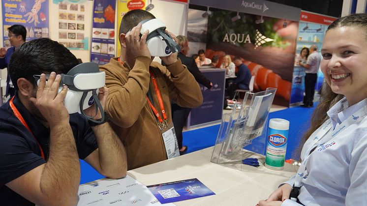 VR-brillene var populære