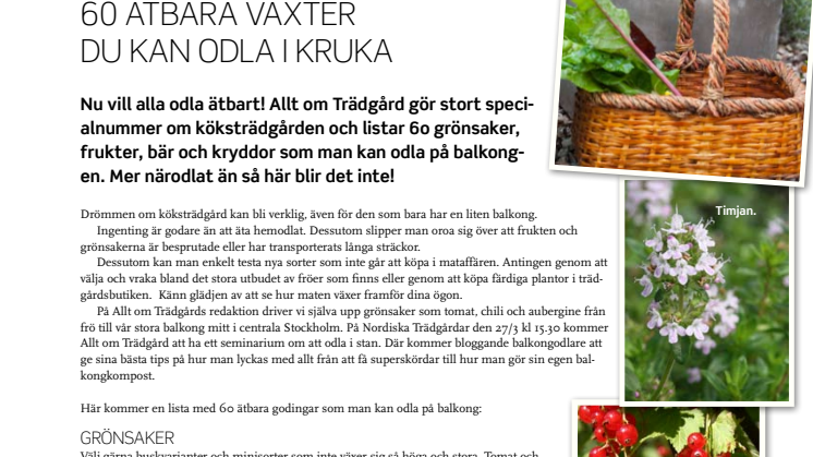 60 ätbara växter du kan odla i kruka