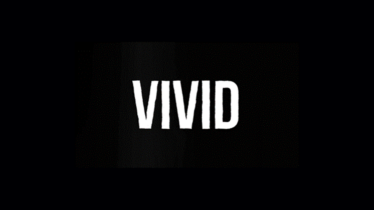 Announcing VIVID - A new global engagement consultancy