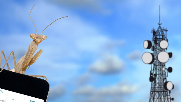 700 MHz optimalt för mobilt bredband