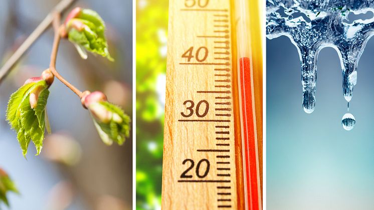 7 av 10 nordmenn har erfart klimaendringer i egen kommune. Endrede årstider, høyere temperatur og mindre snø er det flest har lagt merke til. 