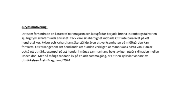 Årets Bragdhund 2024 - juryns motivering.pdf