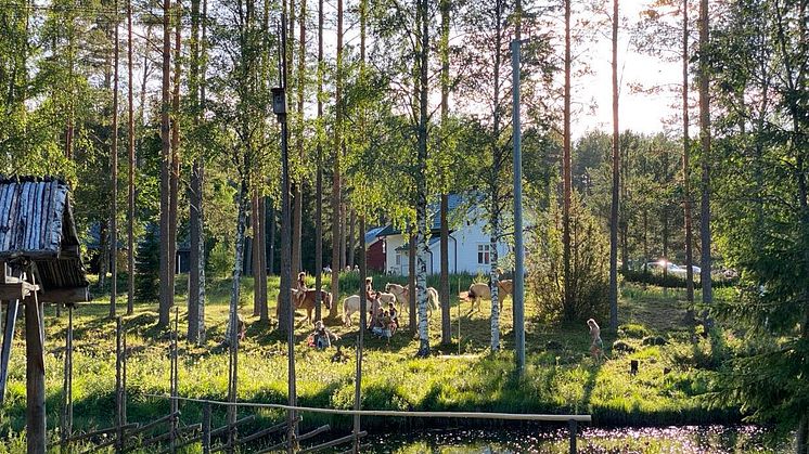 Finnskogdagene .jpg
