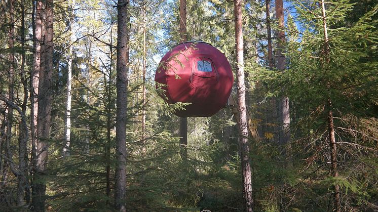 Övernatta bland trädtopparna i skogskojan "Supermåne" hos Näsets Marcusgård i Furudal, Dalarna.