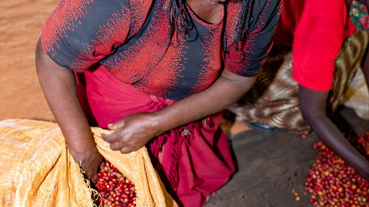 Muranga Photos_43.jpg