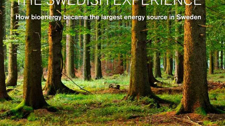 Bioenergy – The Swedish experience