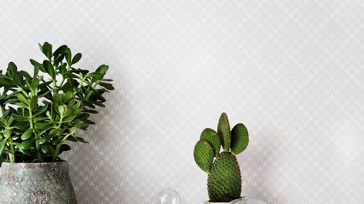 Eco, Soft Surface 5404