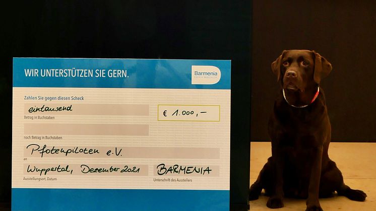 Assistenzhund Hanni zu Besuch bei der Scheckübergabe für Pfotenhilfe e.V. bei der Barmenia in Wuppertal