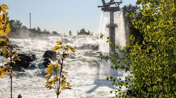 Hønefossen og Oppgangssaga juni 2023