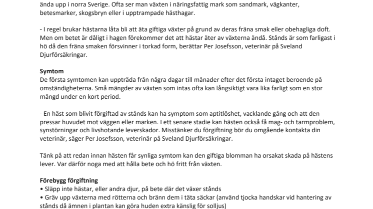 Stånds - dödligt giftig för hästen 