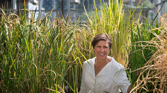 Professor Pamela Ronald, en av SLU:s nya hedersdoktorer. Foto: Deanne Fitzmaurice 