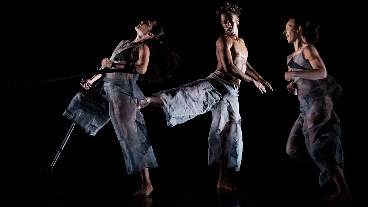 Candoco Dance Company
