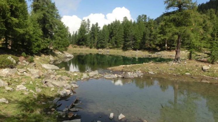 Der September 2018 im DolceVita Hotel Preidlhof in Naturns