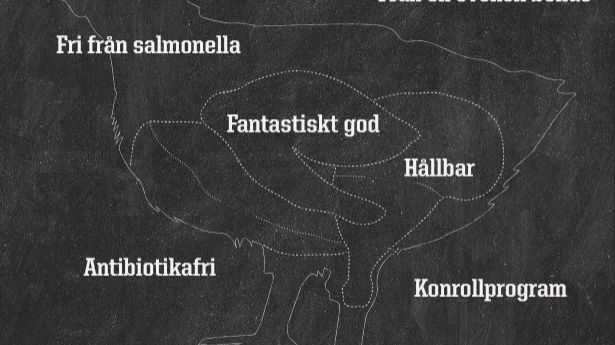 Svensk Fågel sponsrar Årets Kock: Vill främja ökad kunskap och kvalitet på krogen