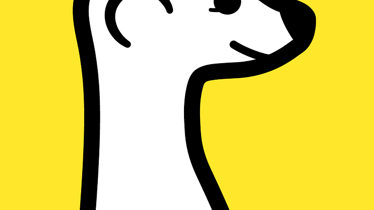 ​Meerkat: The Lowdown