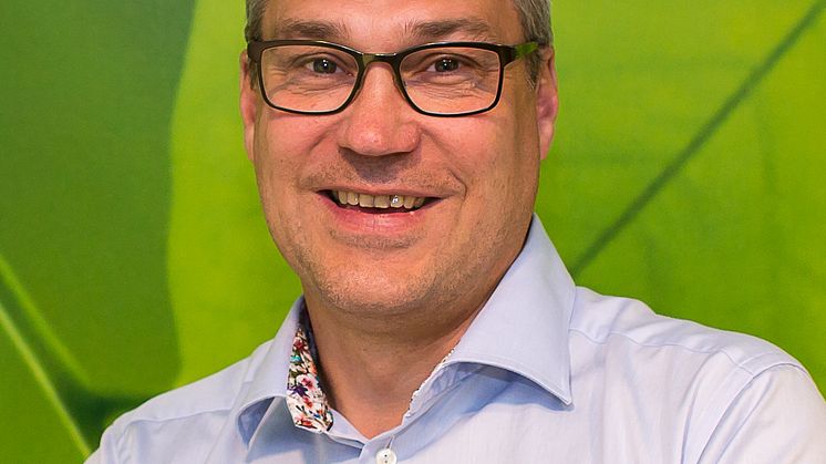 Patrik Wigelius, Etableringschef Lärande i Sverige
