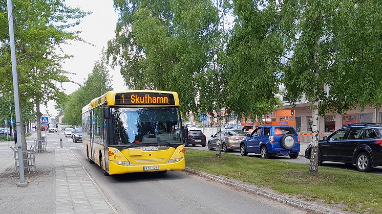 Från 14 juni gäller sommartidtabell för Piteås bussar. Foto: Jonathan Kidane