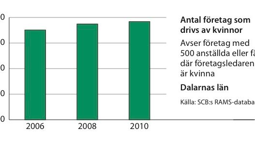 Kvinnors företagande ökar i Dalarnas län