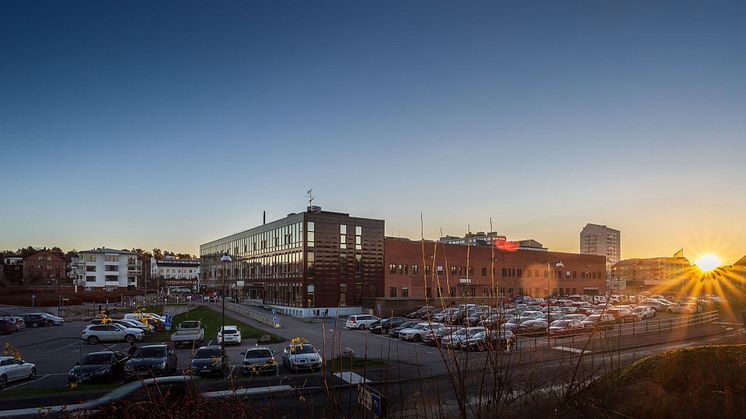 Hamnpulsen i Gustavsberg