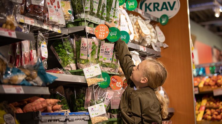 Foto: Kolbjörn Örjavik