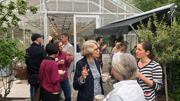 Pollineringsforum Rosendals trädgård