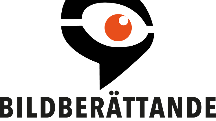 TRE ÅR AV BILDBERÄTTANDE