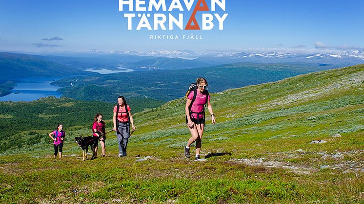 Hemavan Tärnaby - Fjällvandring på Ryfjället