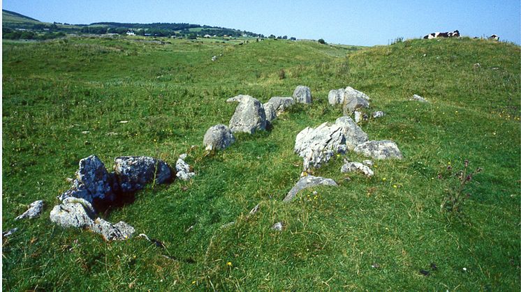Primrose, Ireland, before excavation