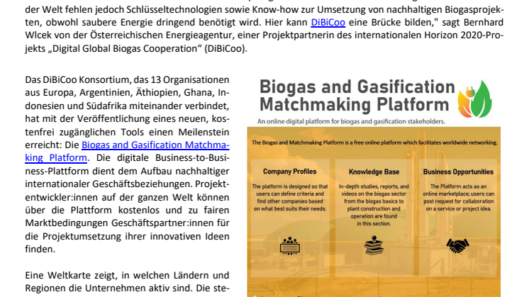 DiBiCoo_Press Release Promotion Platform_de.pdf