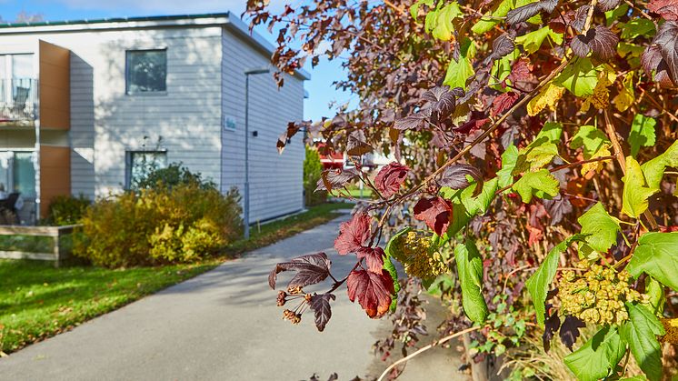 När det var dags för Stommes samfällighetsförening i Landvetter att se över och förnya sin värmelösning föll valet på att fortsätta med fjärrvärmen från Solör Bioenergi. Fotograf Anna Hult