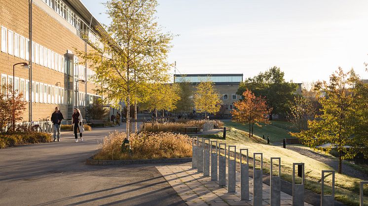 Höst Campus Umeå universitet
