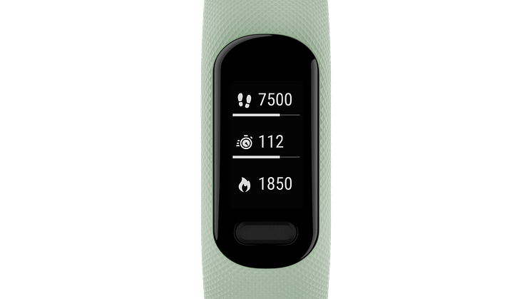 Garmin vívosmart 5
