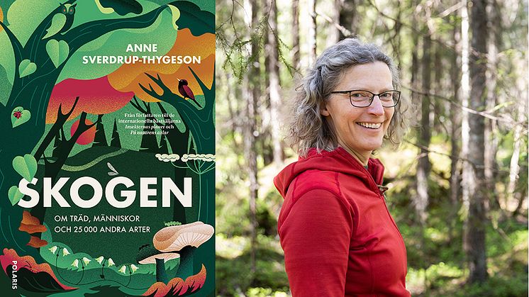 Storsäljande Anne Sverdrup-Thygeson är i höst aktuell med kritikerrosade boken Skogen, som har översatts till svenska. 