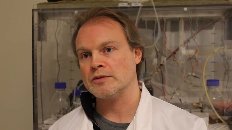 Tillverkar elektricitet av matrester