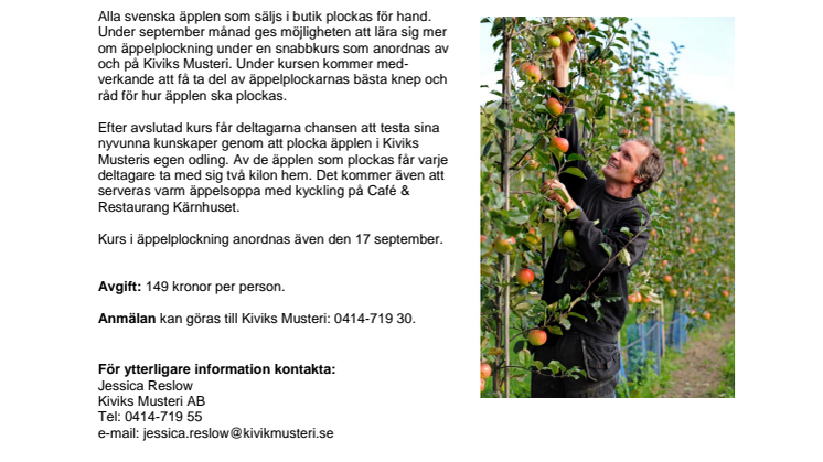 Äppelplockning på Kiviks Musteri