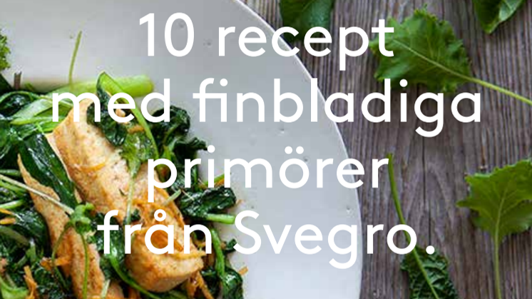 10 recept med finbladiga primörer