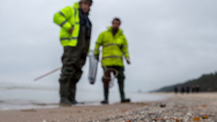 The Hunt for Baltic Gold HISTORY