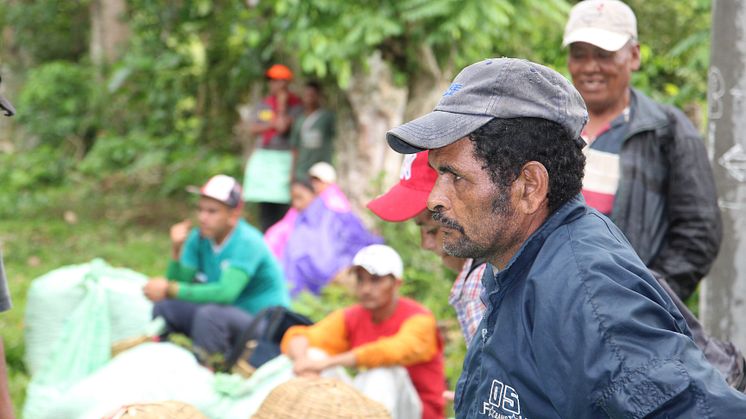 Kaffeplukker Nicaragua.jpg