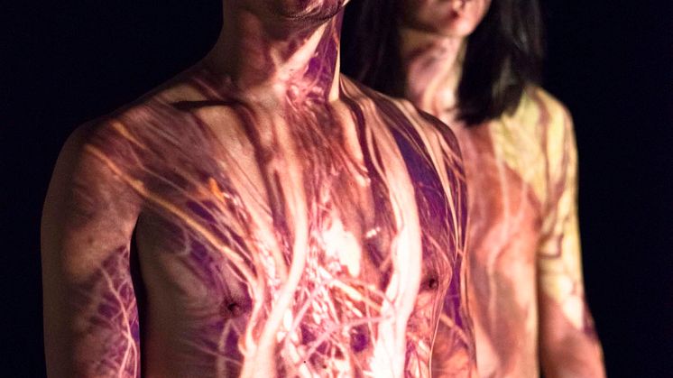 Chromatics 5
