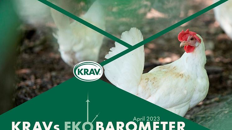 KRAVs Ekobarometer: Ost och offentlig sektor går bra