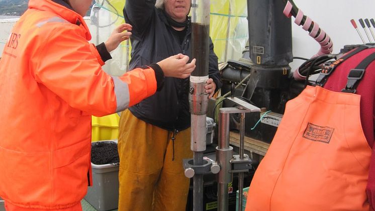 Prøvetaging Lurefjord, JellyFarm prosjektet