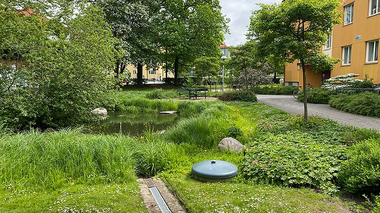 Exempel på klimatanpassning med blågröna lösningar i Augustenborg, Malmö. Regnvatten leds genom diken, kanaler och dammar för att minska risken för översvämningar. Foto: Johan Holmqvist/IVL